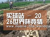 种植基地七(图1)