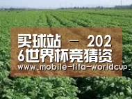 种植基地五(图1)