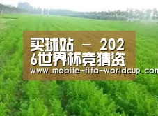 种植基地四