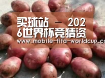 产品展示标题5(图1)