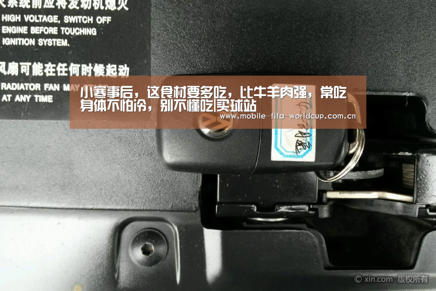 买球站